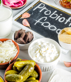 Europe Probiotics Market Size & Share Analysis, Growth & Trends Forecast